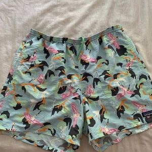 Men’s Patagonia 5” Baggies